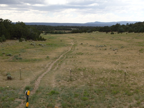 GDMBR: A trail leads to the east, in Carson National Forest.